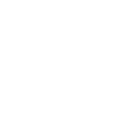 東富龍科技集團股份有限公司